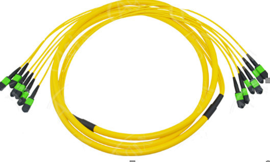 0.35dB MPO Optical Fiber Patch Cord Pre-Terminated 24 Core